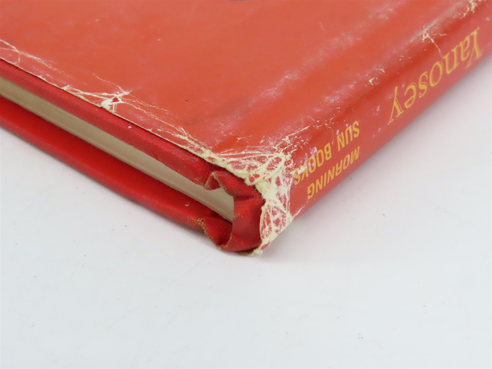 Morning Sun: Tidewater Triangle by Robert J. Yanosey ©1988 HC Book
