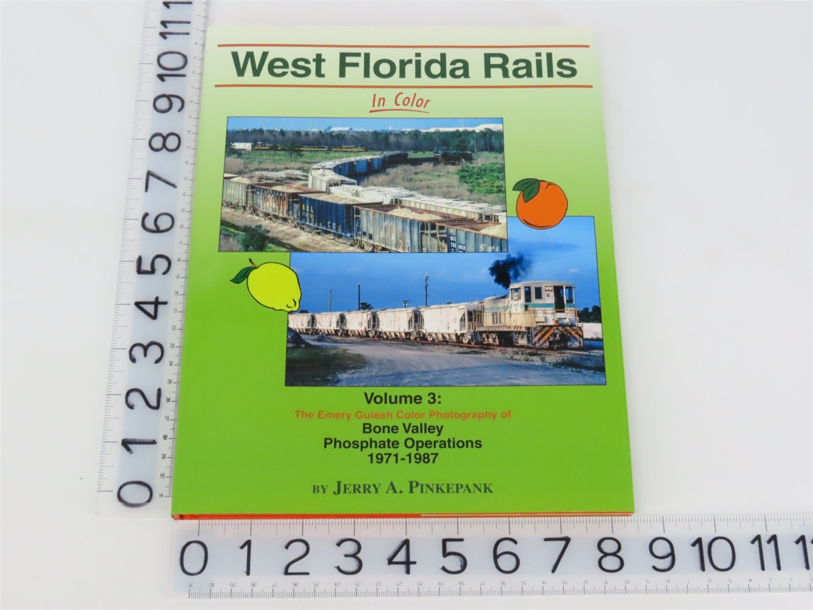 Morning Sun: West Florida Rails In Color Vol 3 by Jerry A. Pinkepank ©2015
