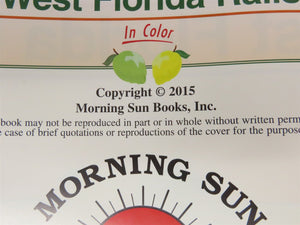 Morning Sun: West Florida Rails In Color Vol 2 by Jerry A. Pinkepank ©2015