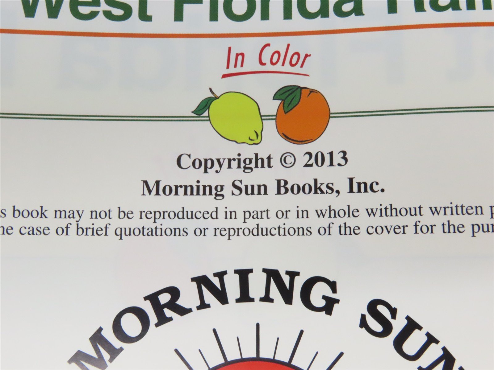 Morning Sun: West Florida Rails In Color Vol 1 by Jerry A. Pinkepank ©2013