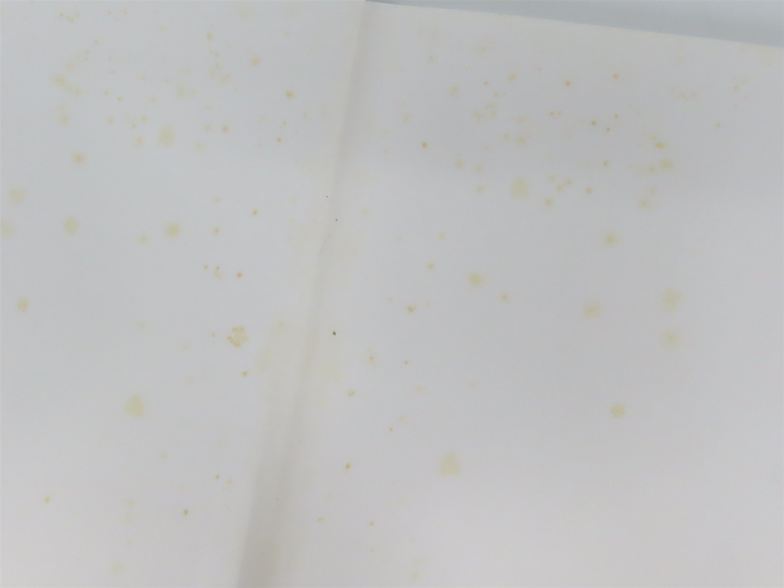 Through the Heart of the South by Robert Wayne Johnson ©1995 HC Book