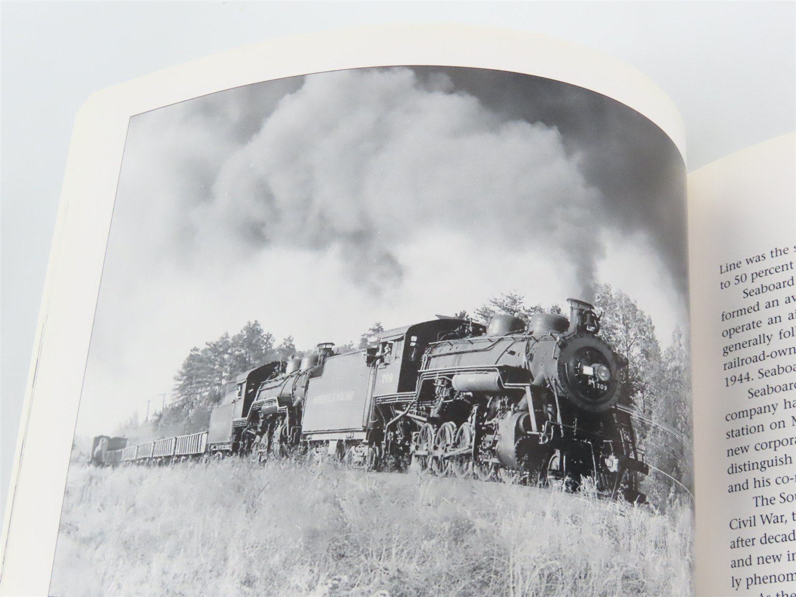 Through the Heart of the South by Robert Wayne Johnson ©1995 HC Book