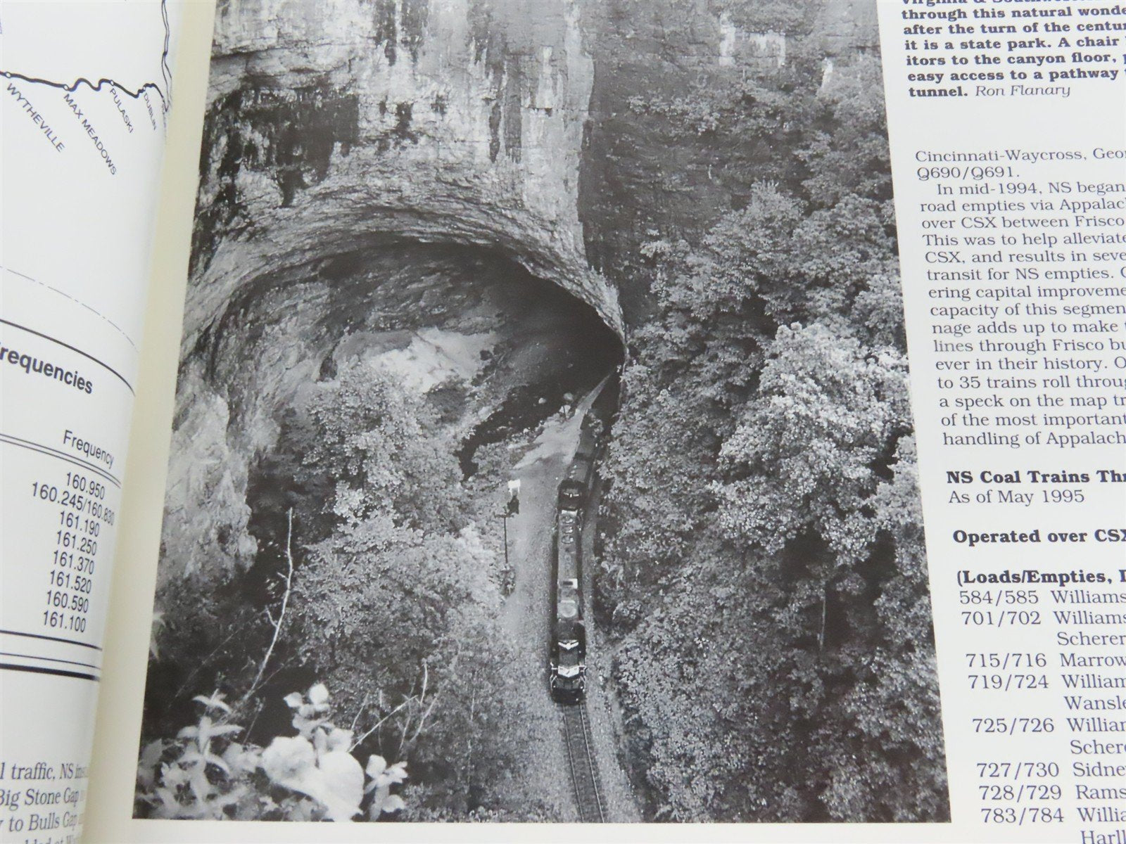 Norfolk Southern 1995 Review by Scott Lindsey Â©1995 SC Book