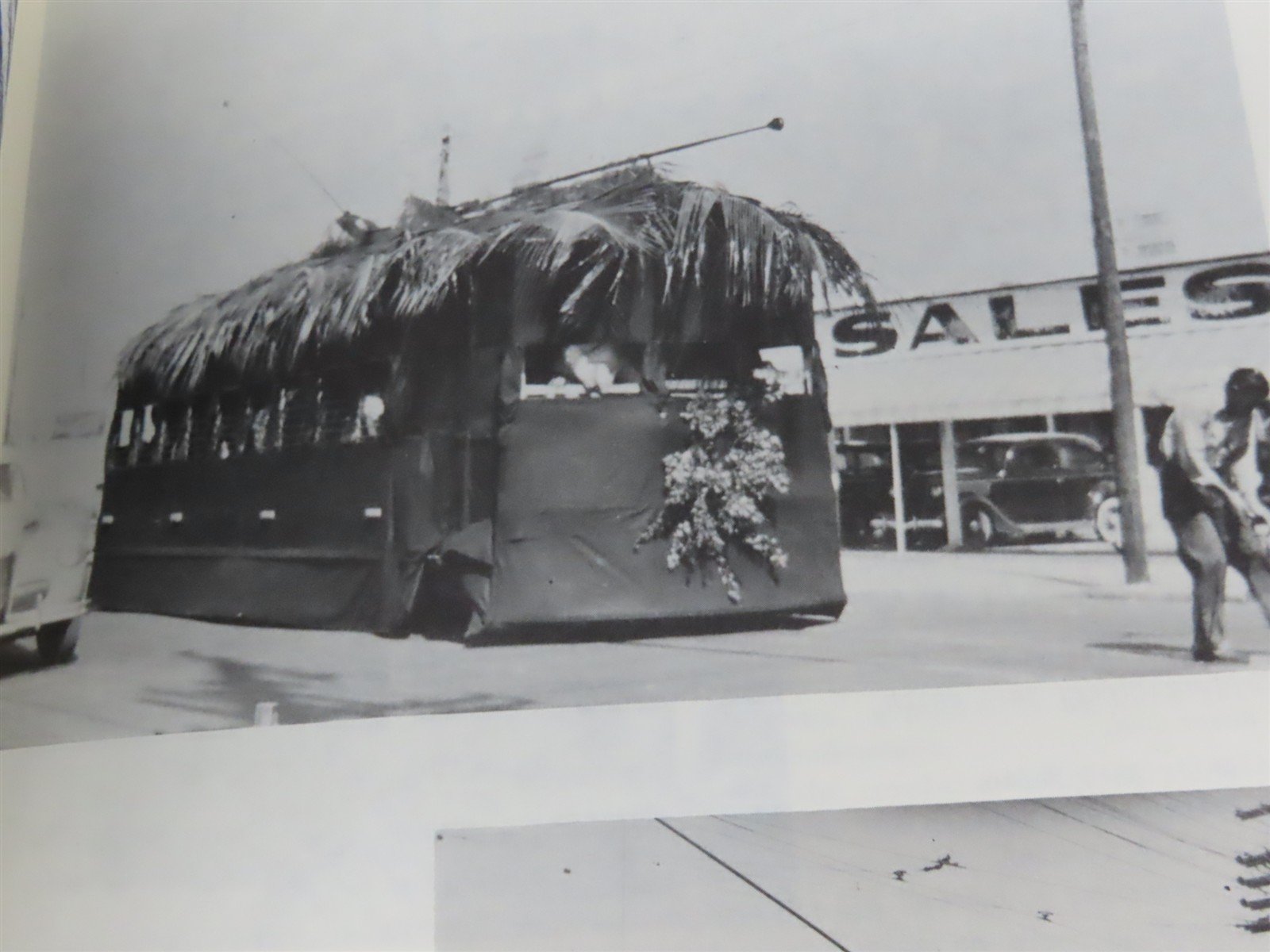 Biscayne Bay Trolleys by Edward Ridolph Â©1981 SC Booklet