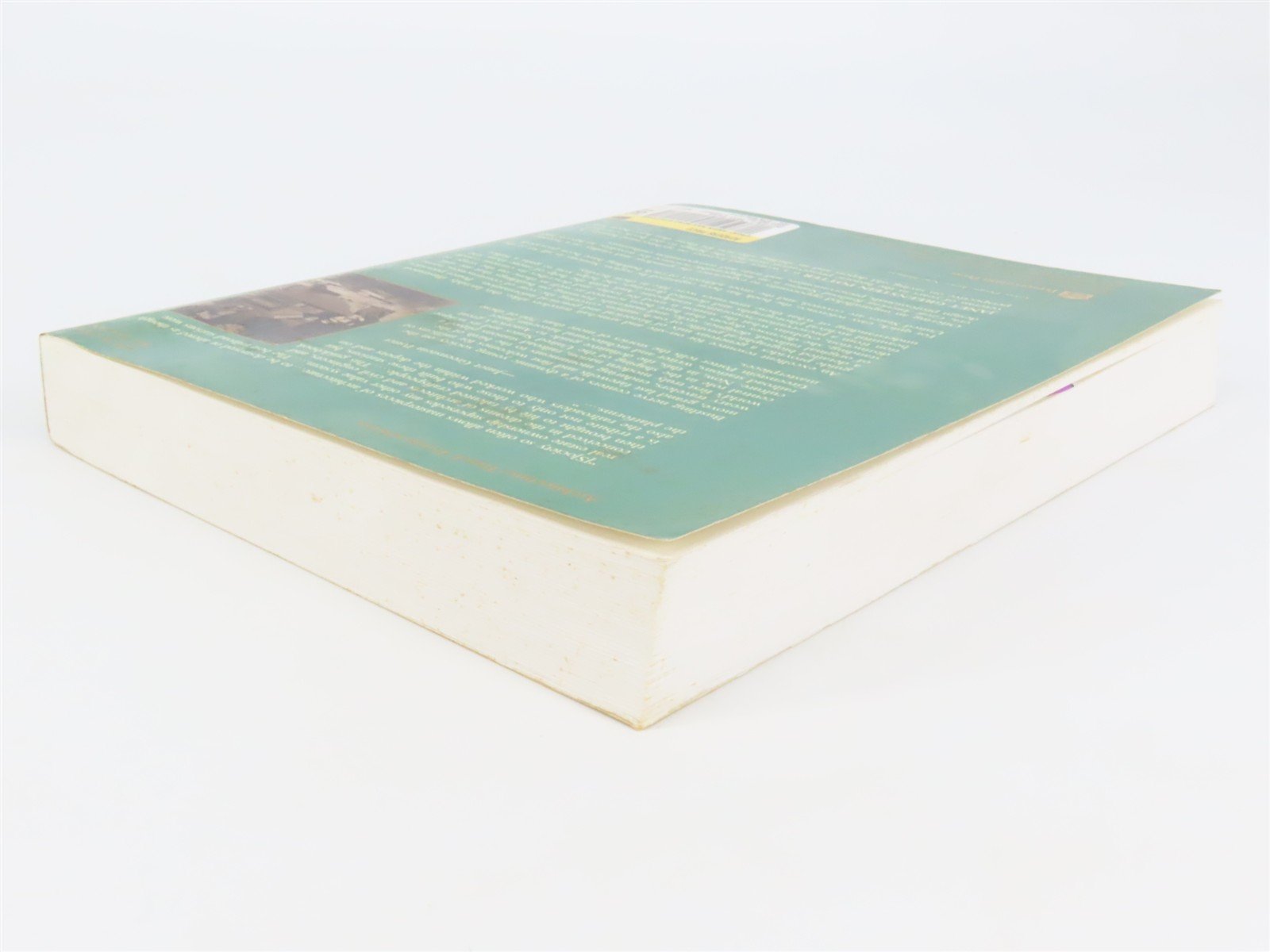 Great American Railroad Stations by Janet Greenstein Potter Â©1996 SC Book