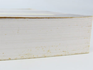 Great American Railroad Stations by Janet Greenstein Potter Â©1996 SC Book