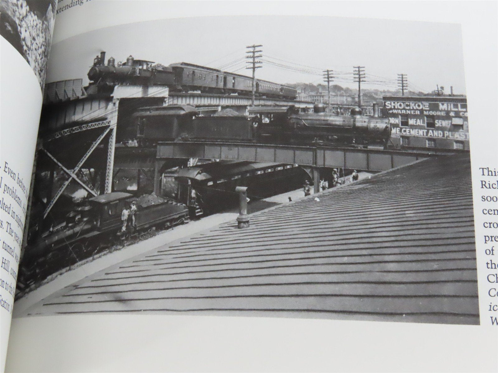 Scalded to Death By the Steam by Katie Letcher Lyle Â©1991 SC Book