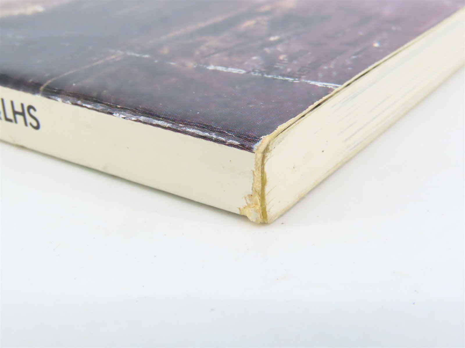 Southern Pacific Review 1978-79 by Joseph A. Strapac Â©1979 SC Book