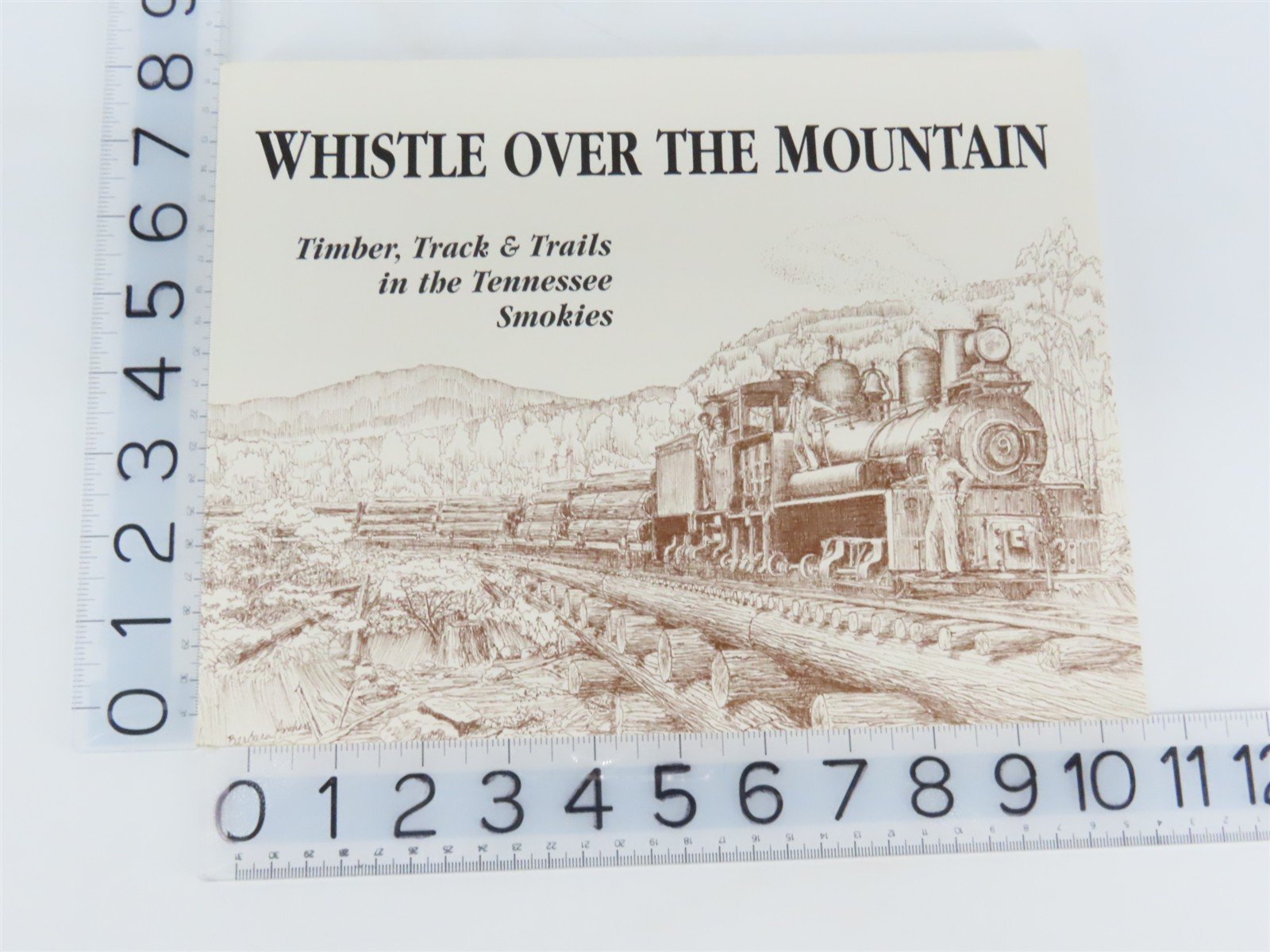 Whistle Over the Mountain by Schmidt & Hooks Â©1994 SC Book