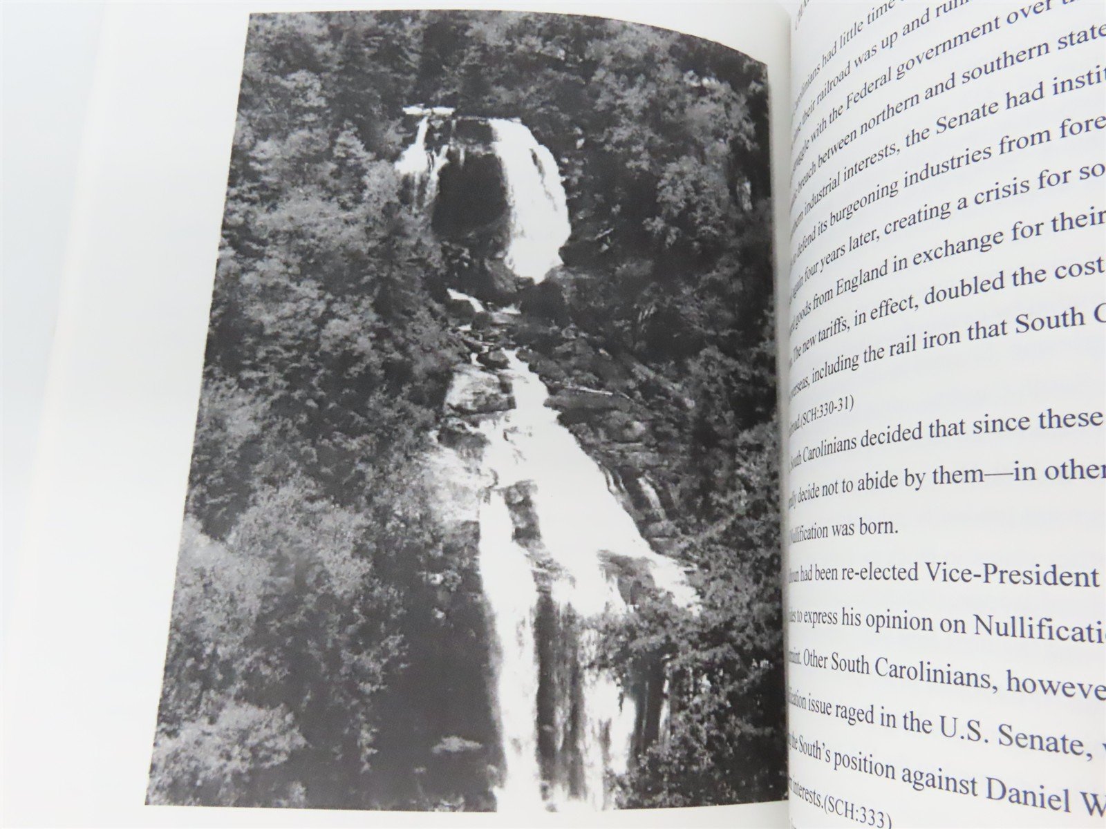 Calhoun's Dream - Blue Ridge Railroad by Betty L. Plisco Â©2001 SC Book