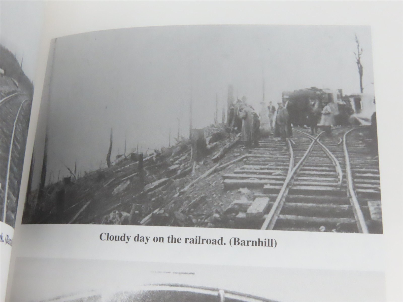 Mount Mitchell - Its Railroad & Toll Road by Jeff Lovelace Â©1994 SC Book