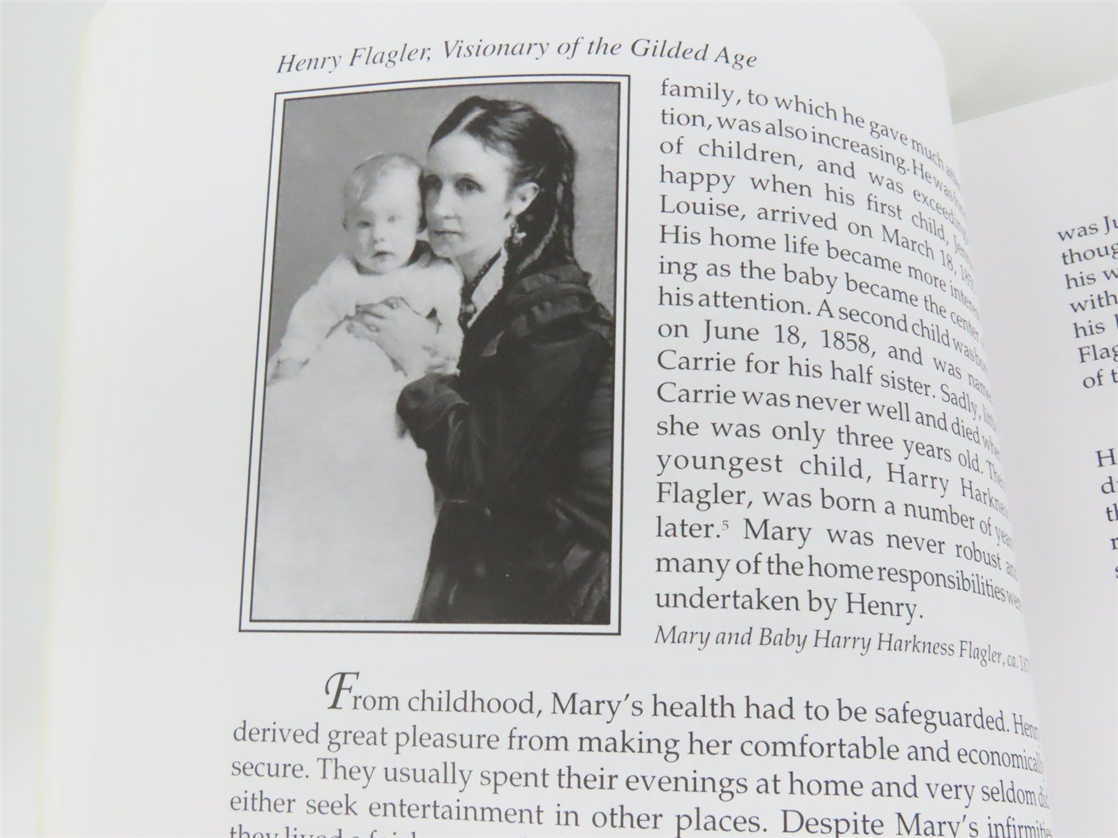Henry Flagler, Visionary of the Gilded Age by Sidney Walter Martin Â©1998 SC Book