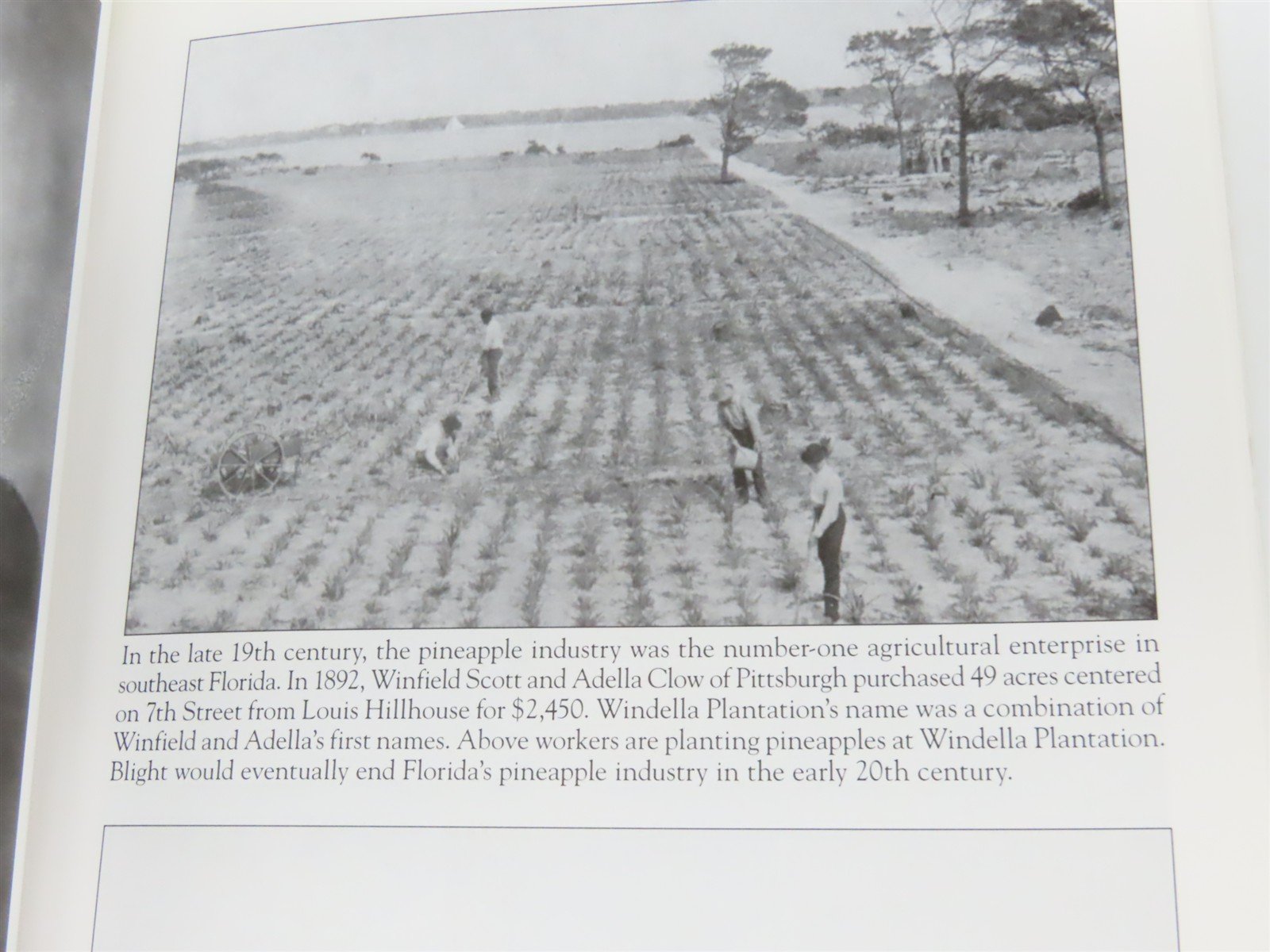 Images of America: West Palm Beach 1893 to 1950 by Drake & Marconi Â©2006 SC Book