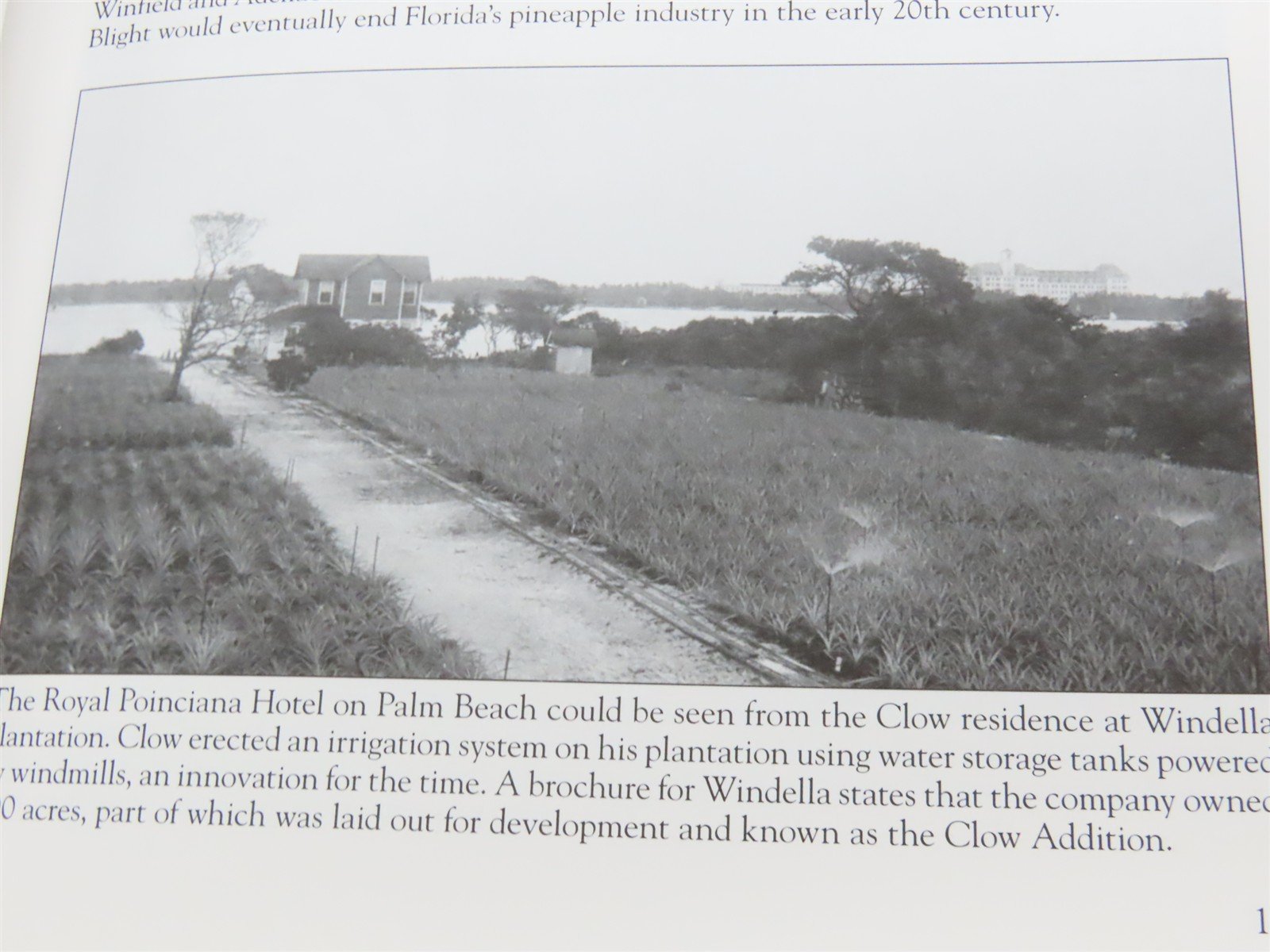 Images of America: West Palm Beach 1893 to 1950 by Drake & Marconi Â©2006 SC Book