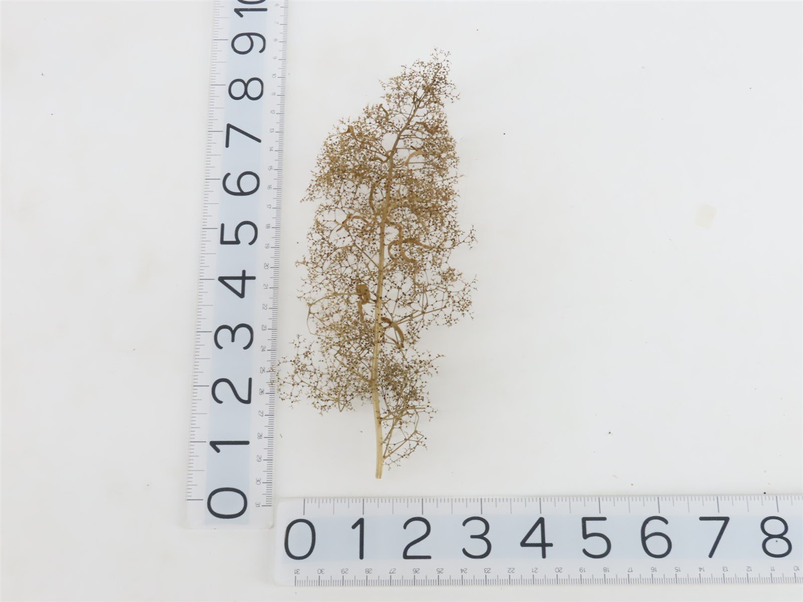 Multi Scale Scenic Express Kit Model Landscaping Supplies EX0214 Super Trees