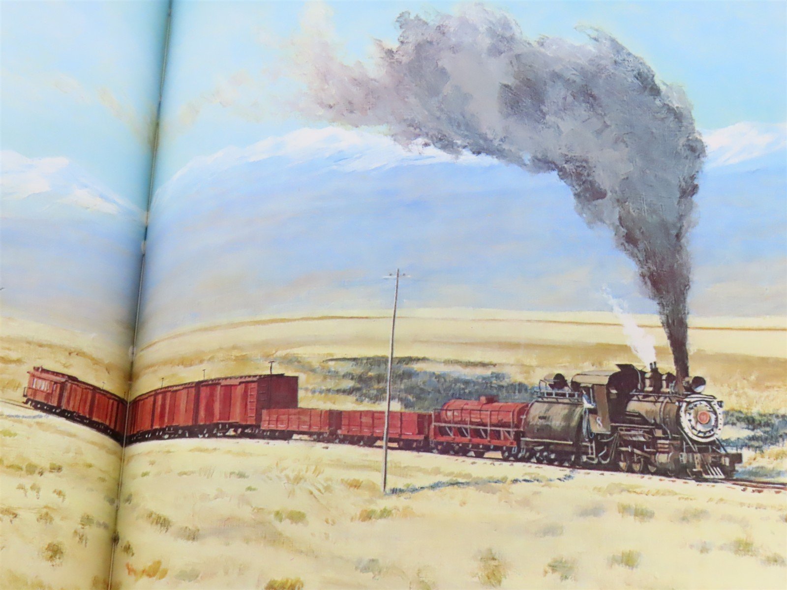 Southern Pacific Narrow Gauge by Mallory Hope Ferrell ©1982 HC Book
