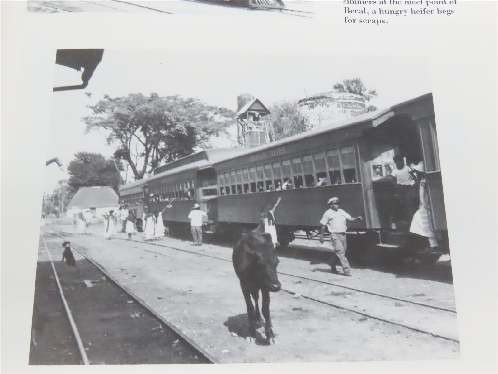 On The Three Foot Gauge by Edgar T. Mead ©1991 SC Book