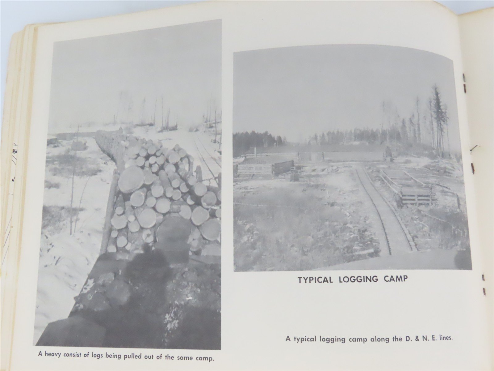 Cinders And Timber by Frederick G. Harrison ©1967 SC Book