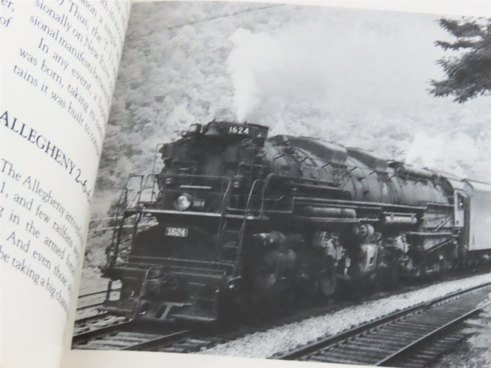 Riding That New River Train by Eugene L. Huddleston Â©1989 SC Book
