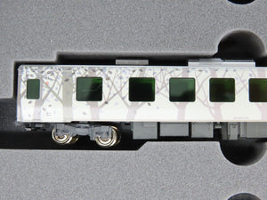 N Scale Kato 10-2073 HB-E300 Series 