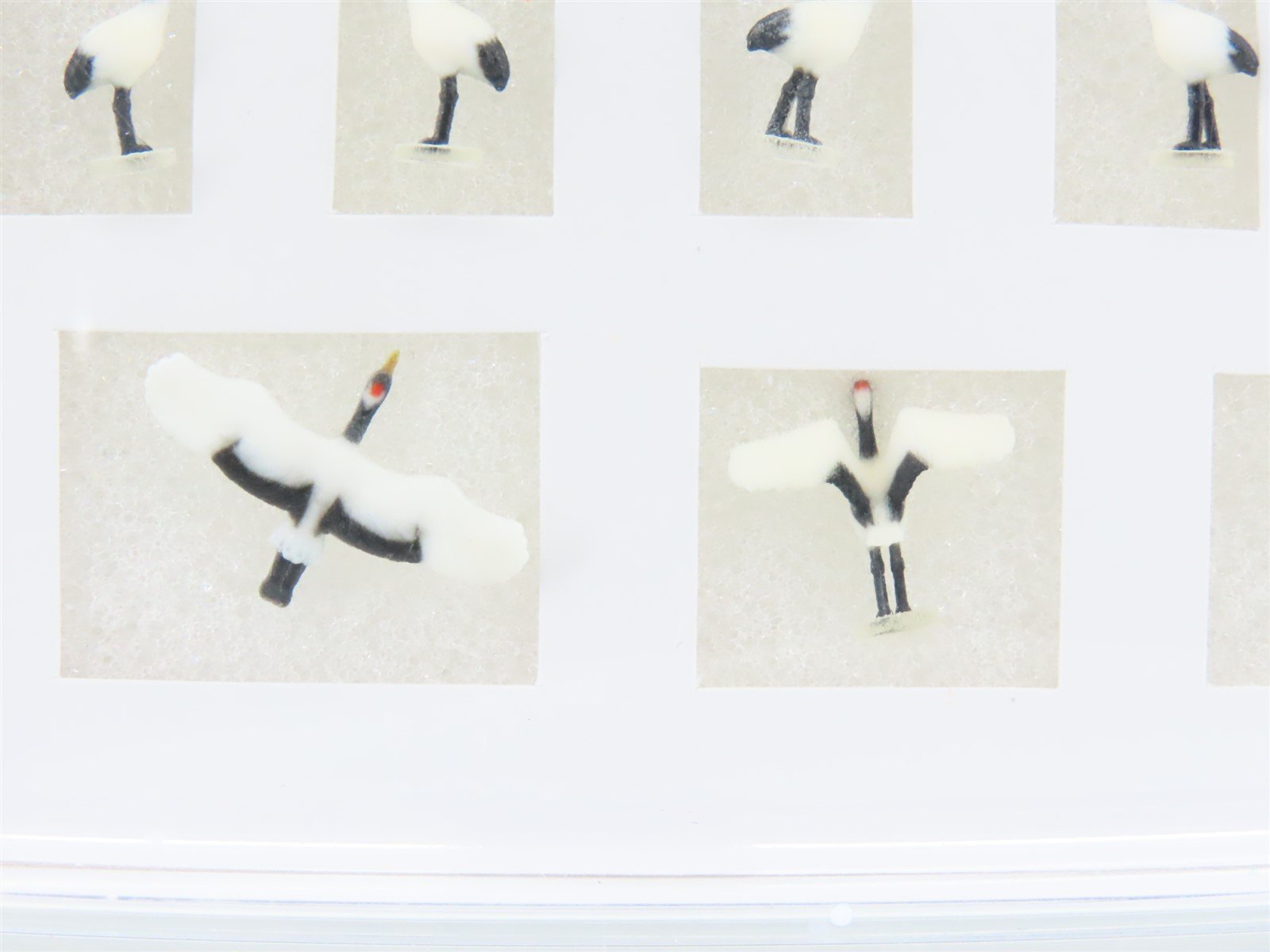 N 1/150 Scale KATO Figu-Animal 24-712 Red-Crowned Crane Figures 8-Pack