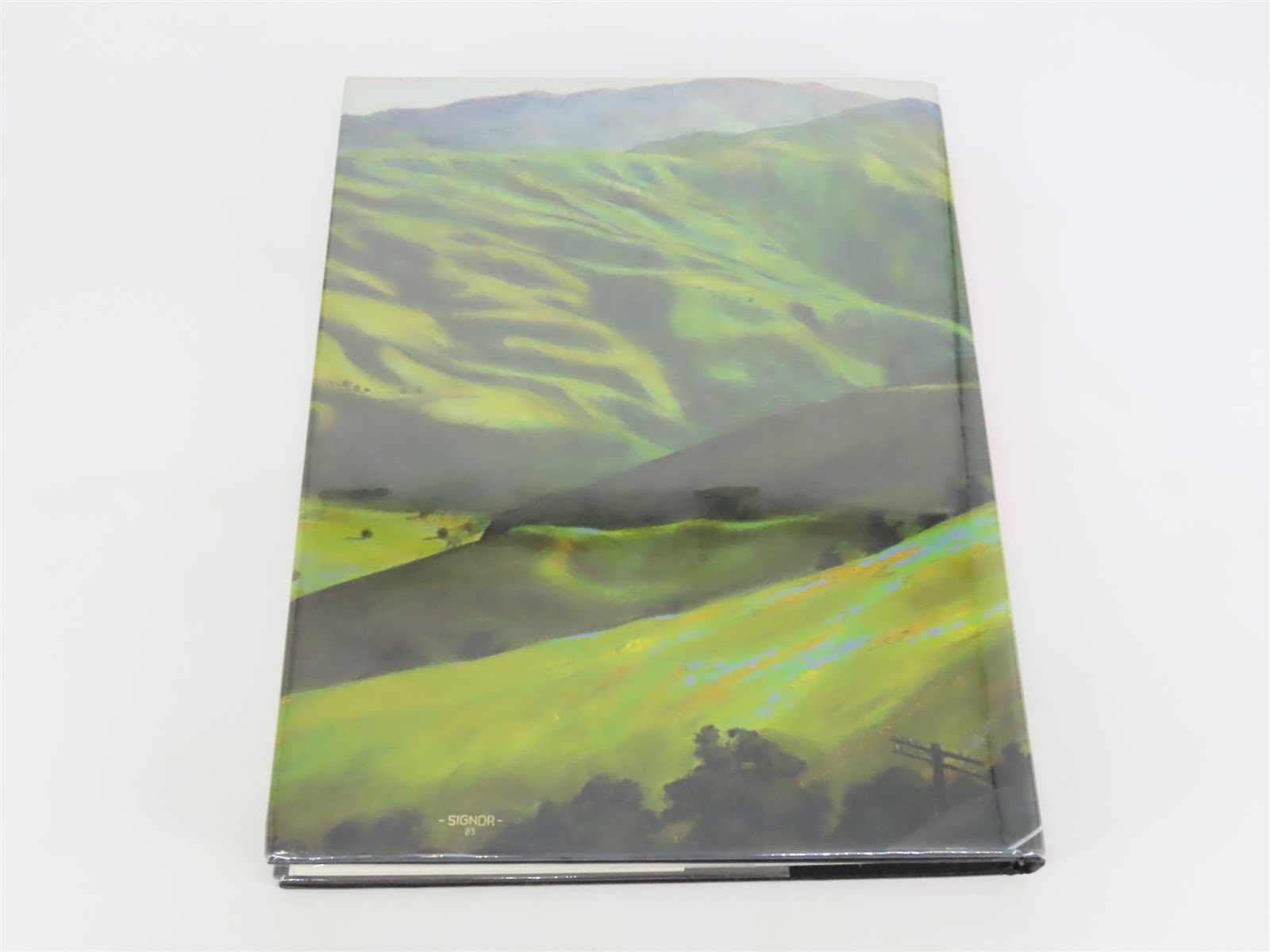 Southern Pacific-Santa Fe Tehachapi by John R. Signor ©2004 HC Book
