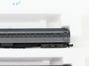 N Scale Rivarossi 0550 UP Union Pacific Coach/Combine/Obs Passenger 3-Car Set