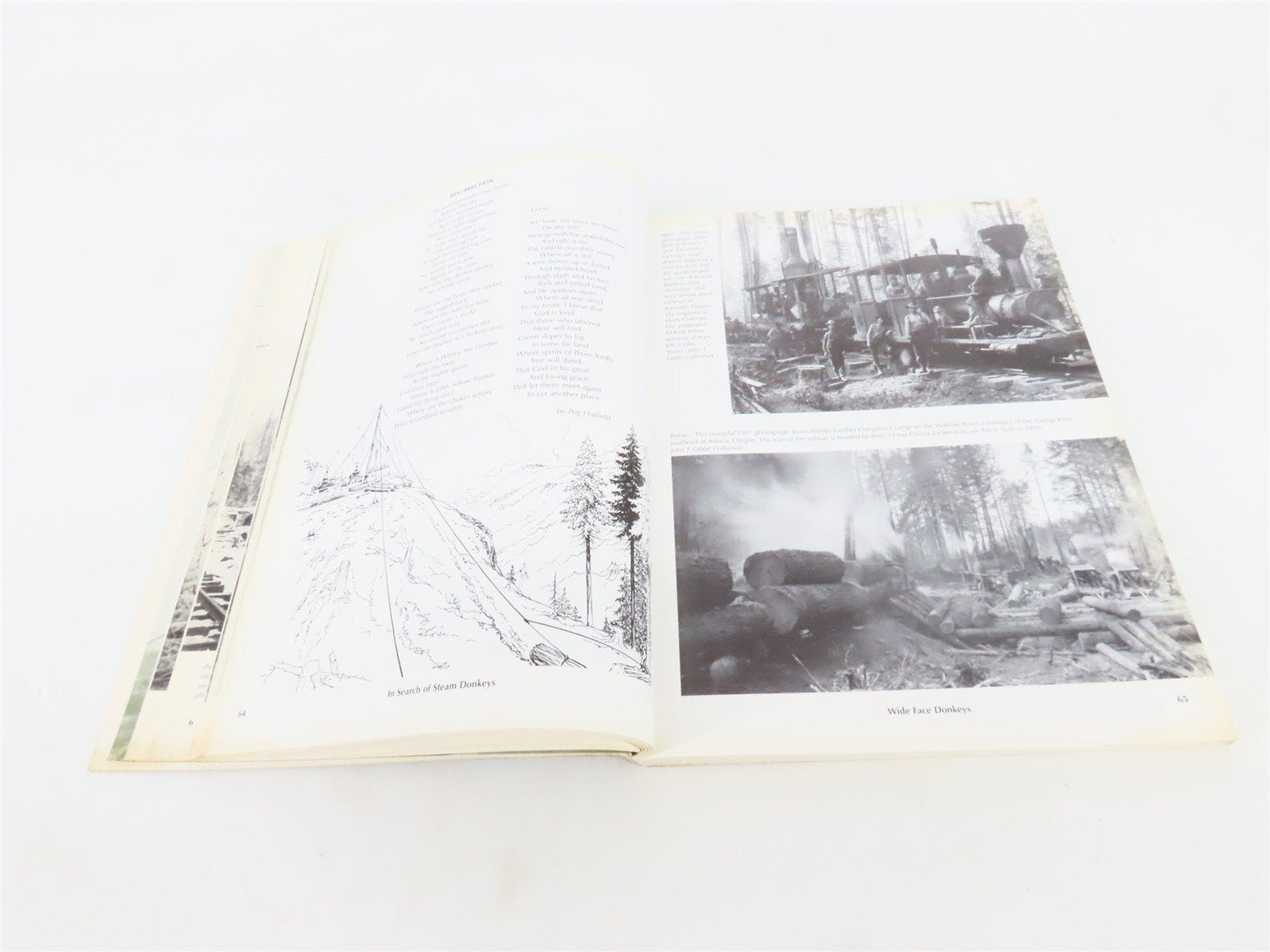 In Search of Steam Donkeys by Merv Johnson ©1996 SC Book
