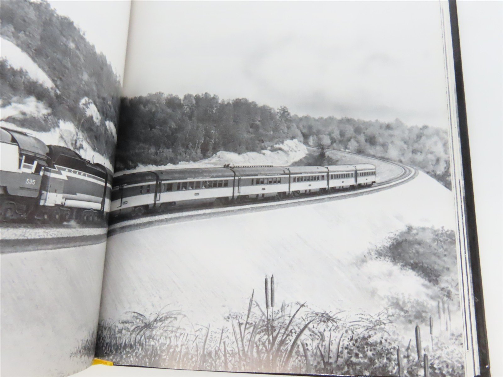 Nashville, Chattanooga & St. Louis: A History of The Dixie Line by Schult ©2002