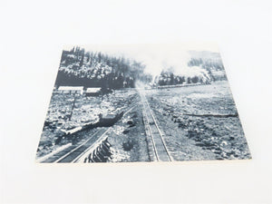 Narrow Gauge Pictorial Vol. VI C&S Motive Power by George L. Coleman ©1986