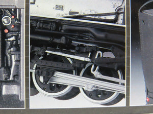HO Scale Revell Kit 02165 Undecorated UP 4-8-8-4 Big Boy Steam - STATIC MODEL