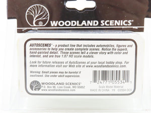 HO 1/87 Scale Woodland Scenics Auto Scenes AS5534 Pickem' Up Truck