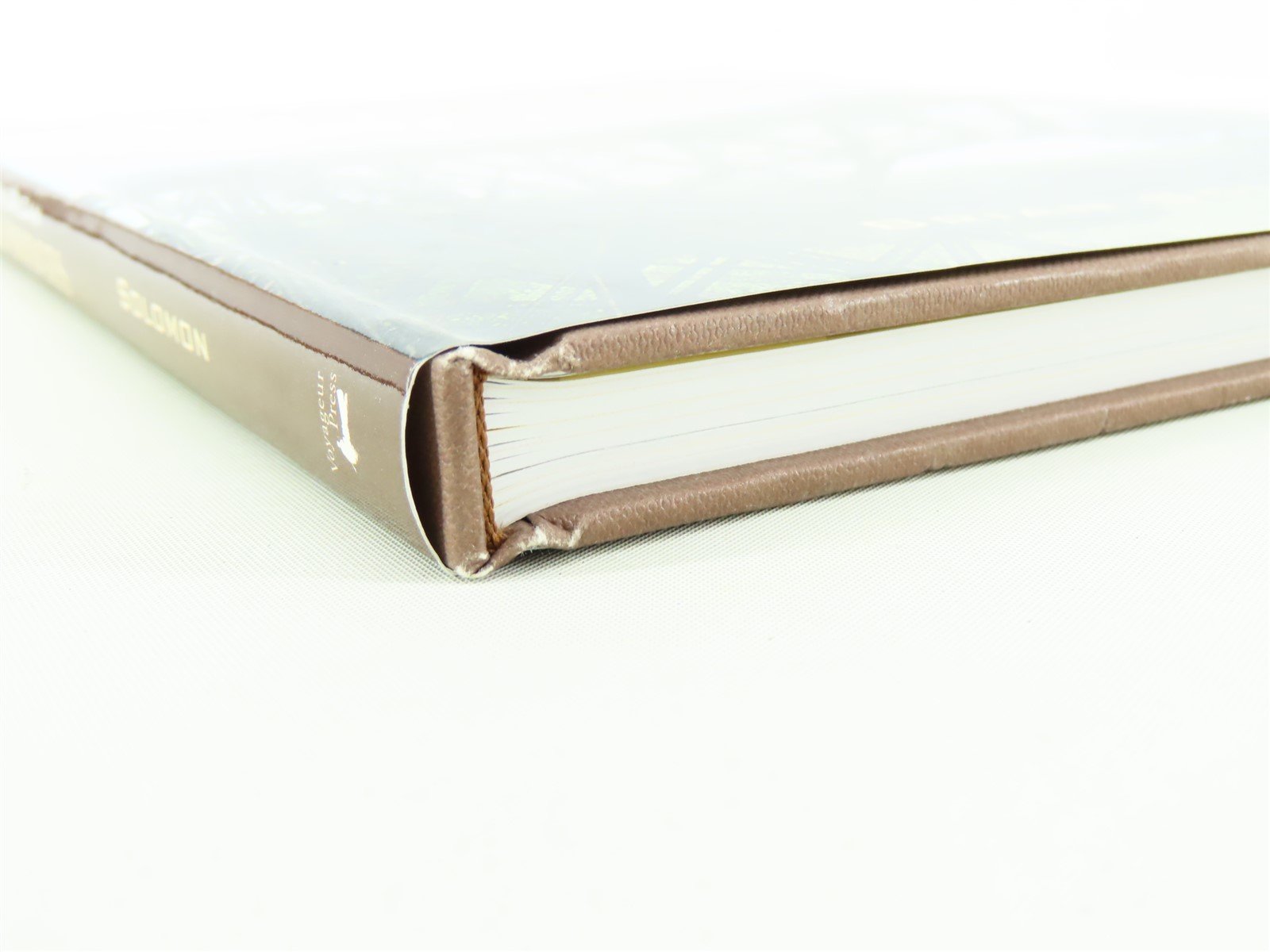 North American Railroad Bridges by Brian Solomon ©2008 HC Book