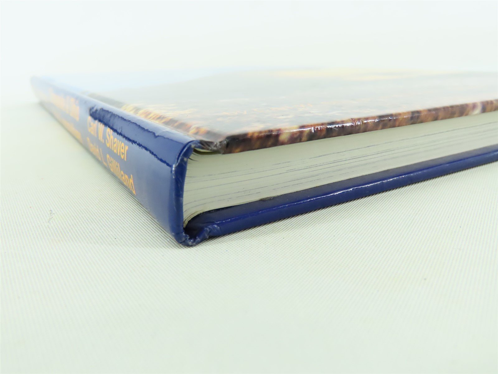 Chesapeake & Ohio Diesel Locomotives by Shaver & Gilliland ©1994 HC Book