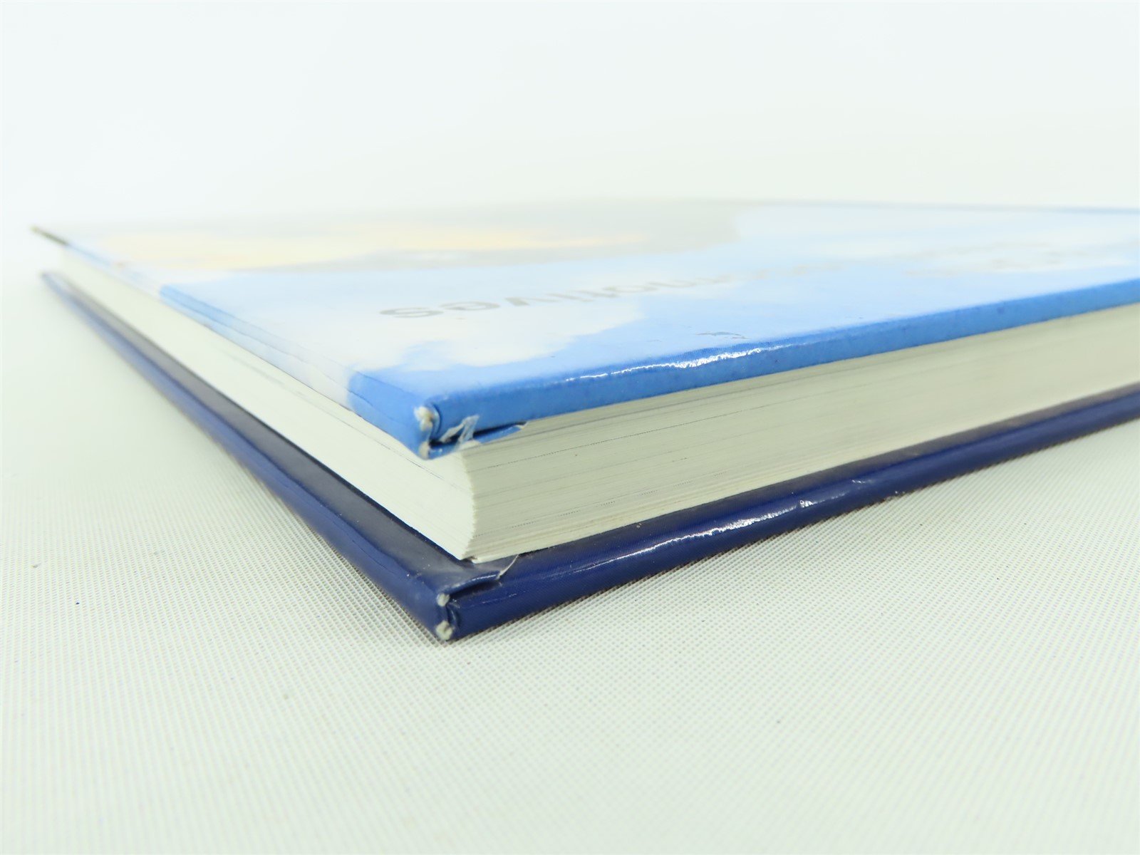 Chesapeake & Ohio Diesel Locomotives by Shaver & Gilliland ©1994 HC Book