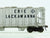 HO Bowser #56142 EL Erie Lackawanna 2-Bay Covered Hopper #19059 - Custom